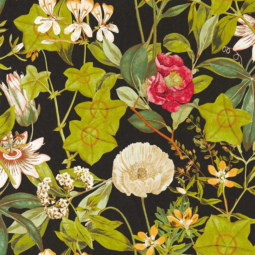 Passiflora Wallpaper W0143 04 by Clarke and Clarke in Noir Black